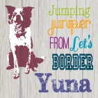 My Yuna, and her pedigree name.