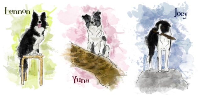 My three very awesome border collies in water color style