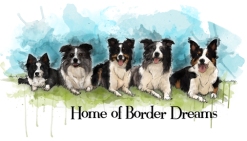 Not my dogs, but this handsome group looks very neat in water color style!